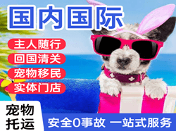 朝阳川空运国际宠物托运 【国